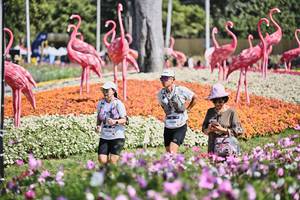 BIB: 
                            <button type="button" onclick="openModal(27793835)" class="btn btn-primary btn-sm float-right btn-popup" data-toggle="modal" data-target=".modal-high-quality">
                        <i class="fas fa-shopping-cart"></i> Add to Cart
                    </button>
                                            <button type="button" onclick="isThisMe(27793835, true)" class="btn btn-success btn-sm float-right btn-popup btn-isme hidden" data-toggle="tooltip" data-placement="bottom" title="นี่คือรูปของคุณใช่ไหม คลิกที่นี่เพื่อเอาเข้าอัลบั้ม">
                        <i class="fas fa-plus"></i> Add to album
                    </button>
                    <button type="button" onclick="isThisMe(27793835, false)" class="btn btn-warning btn-sm float-right btn-popup btn-isnotme hidden">
                        <i class="fas fa-ban"></i> Remove from album
                    </button>